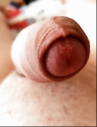 Tgirl bitches in hot clothes